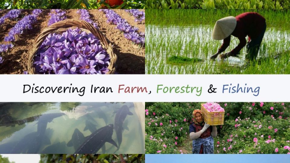 Discovering Iran Farm, Forestry & Fishing