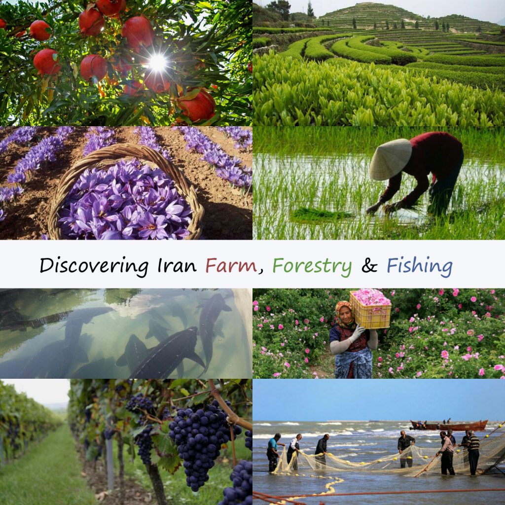 Discovering Iran Farm, Forestry & Fishing